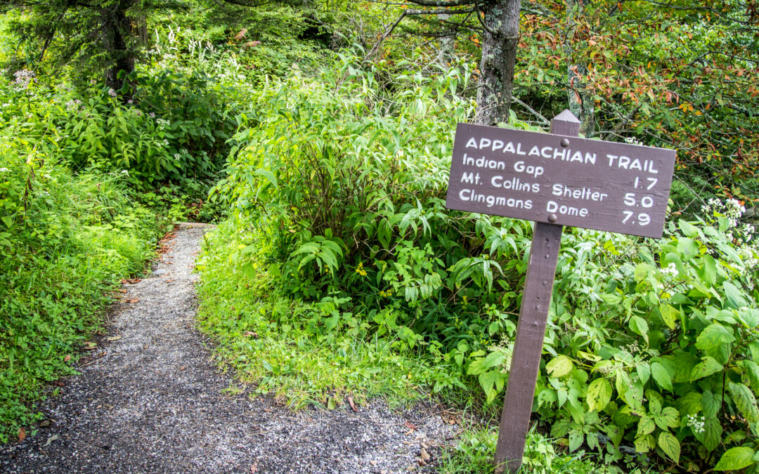 Spring—The Perfect Time to Hike the Appalachian Trail