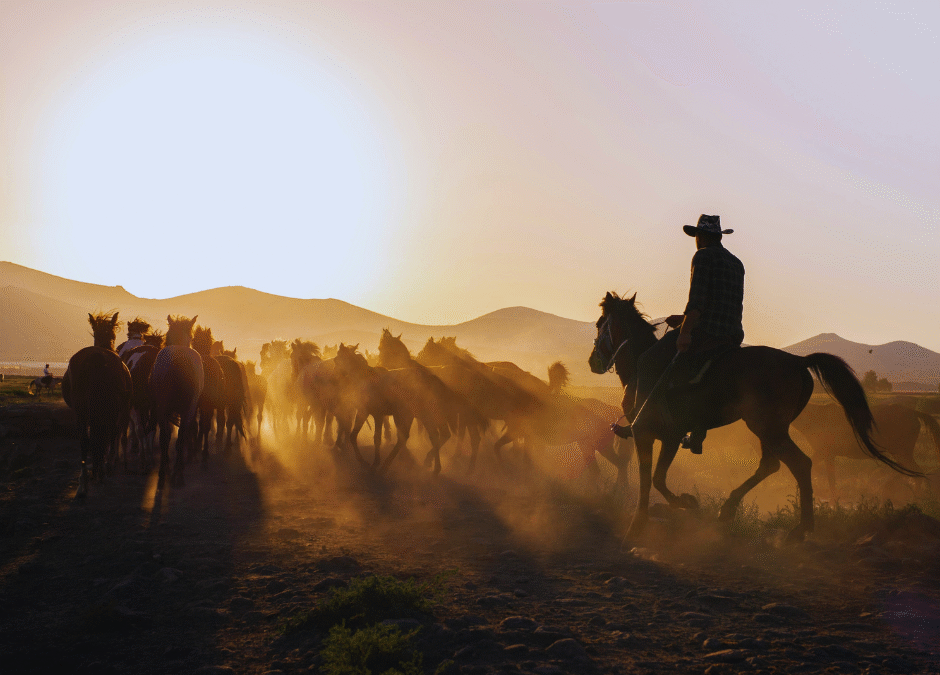 You Can Still Be a Cowboy