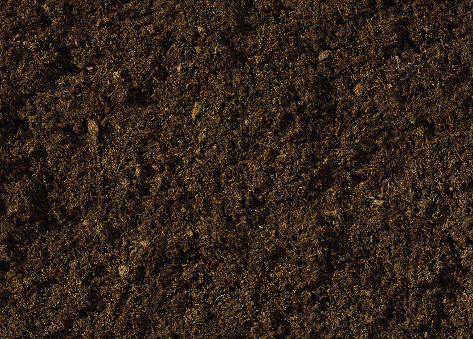 Creating Your Own Rich Compost in Your Back Yard